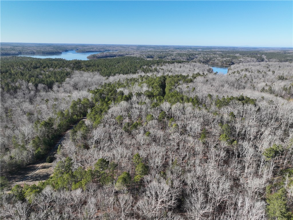 00 Horseshoe Pointe Drive, Iva, South Carolina image 4