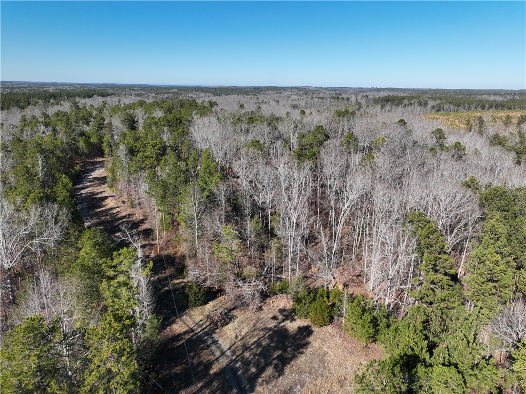 00 Horseshoe Pointe Drive, Iva, South Carolina image 3