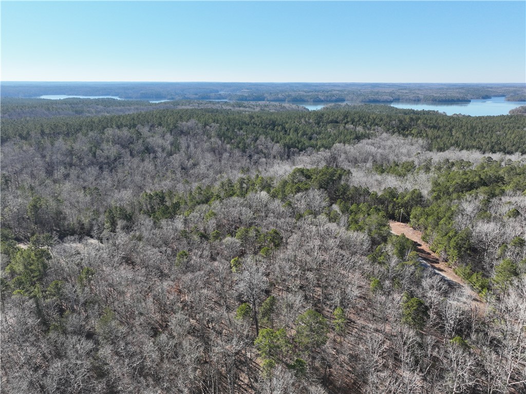 00 Horseshoe Pointe Drive, Iva, South Carolina image 5
