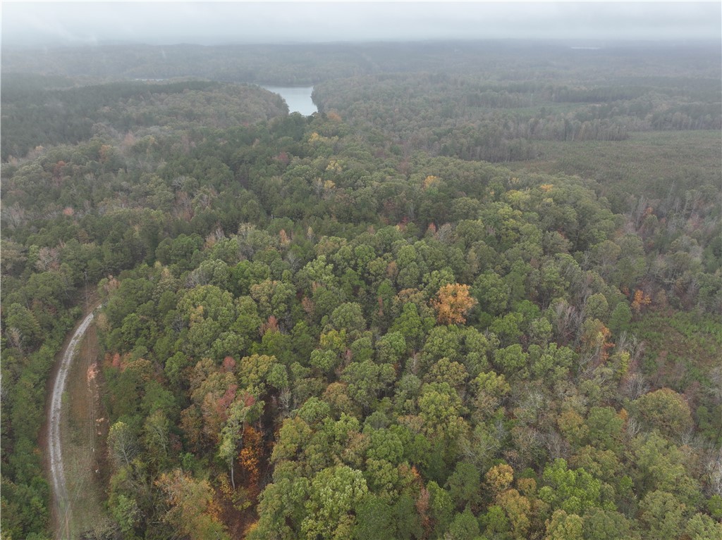00 Horseshoe Pointe Drive, Iva, South Carolina image 11