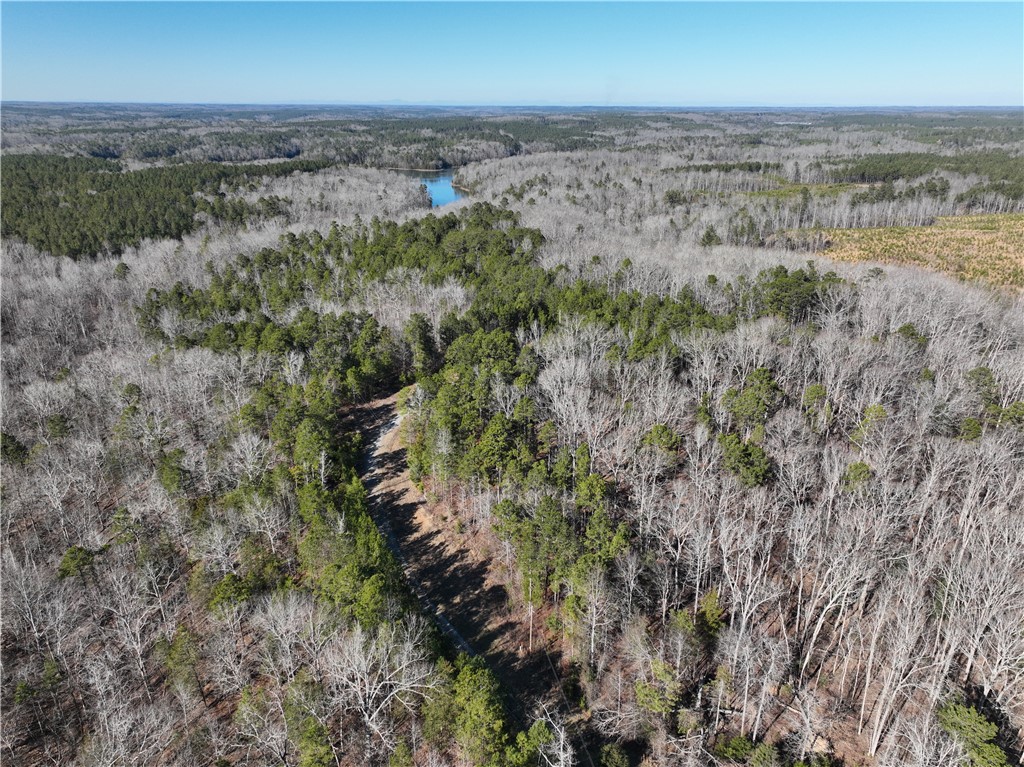 00 Horseshoe Pointe Drive, Iva, South Carolina image 2