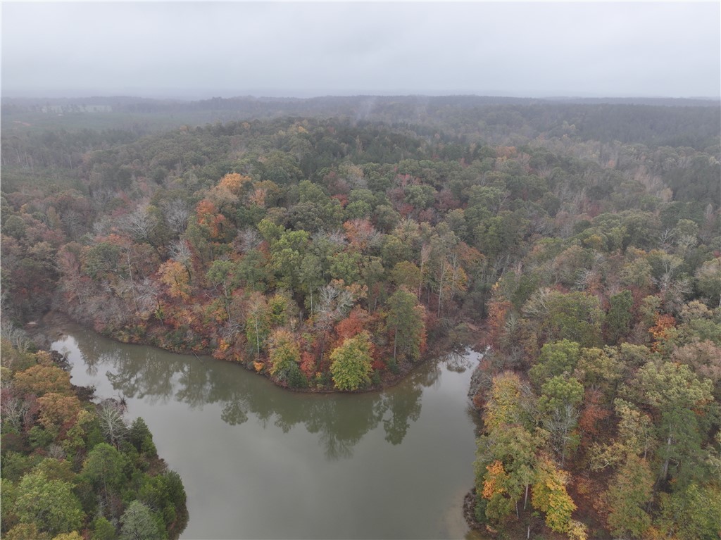 00 Horseshoe Pointe Drive, Iva, South Carolina image 18