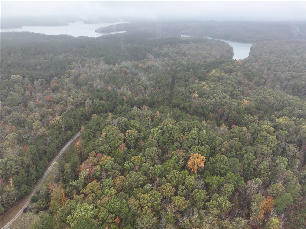 00 Horseshoe Pointe Drive, Iva, South Carolina image 12