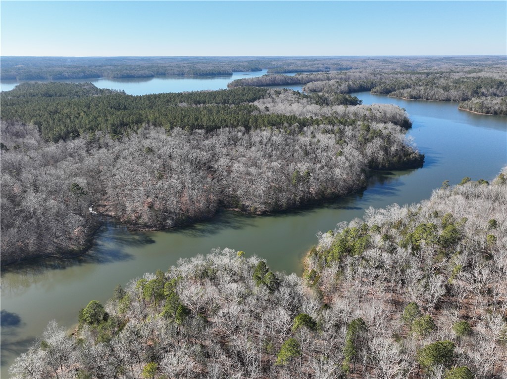 00 Horseshoe Pointe Drive, Iva, South Carolina image 7