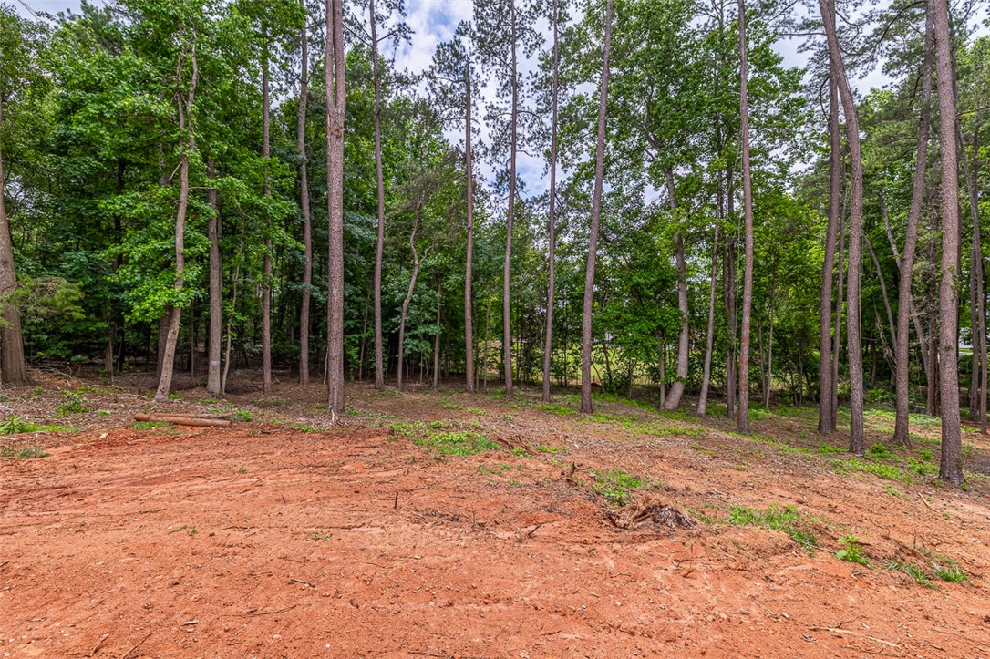 115 Century Court, Pendleton, South Carolina image 30