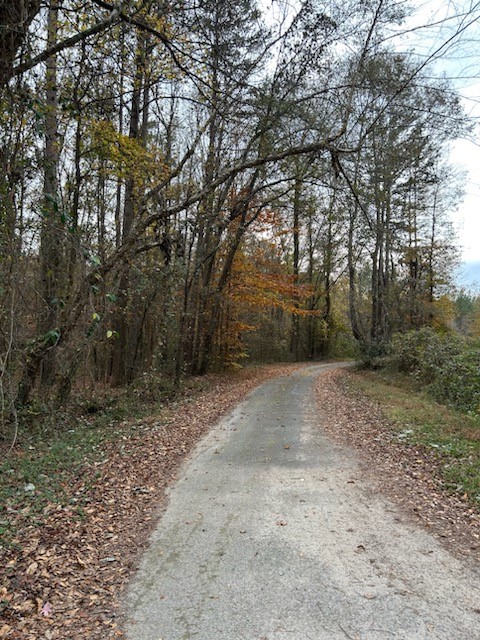 120 Sand Bar Road, Starr, South Carolina image 2
