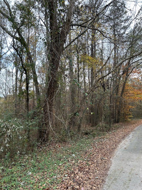 120 Sand Bar Road, Starr, South Carolina image 3