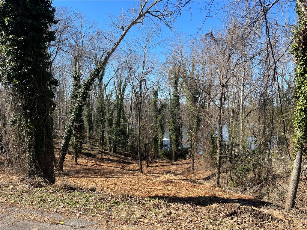 802 Yates Circle, Anderson, South Carolina image 4