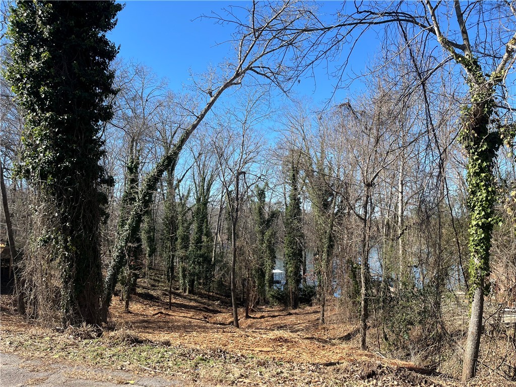 802 Yates Circle, Anderson, South Carolina image 3