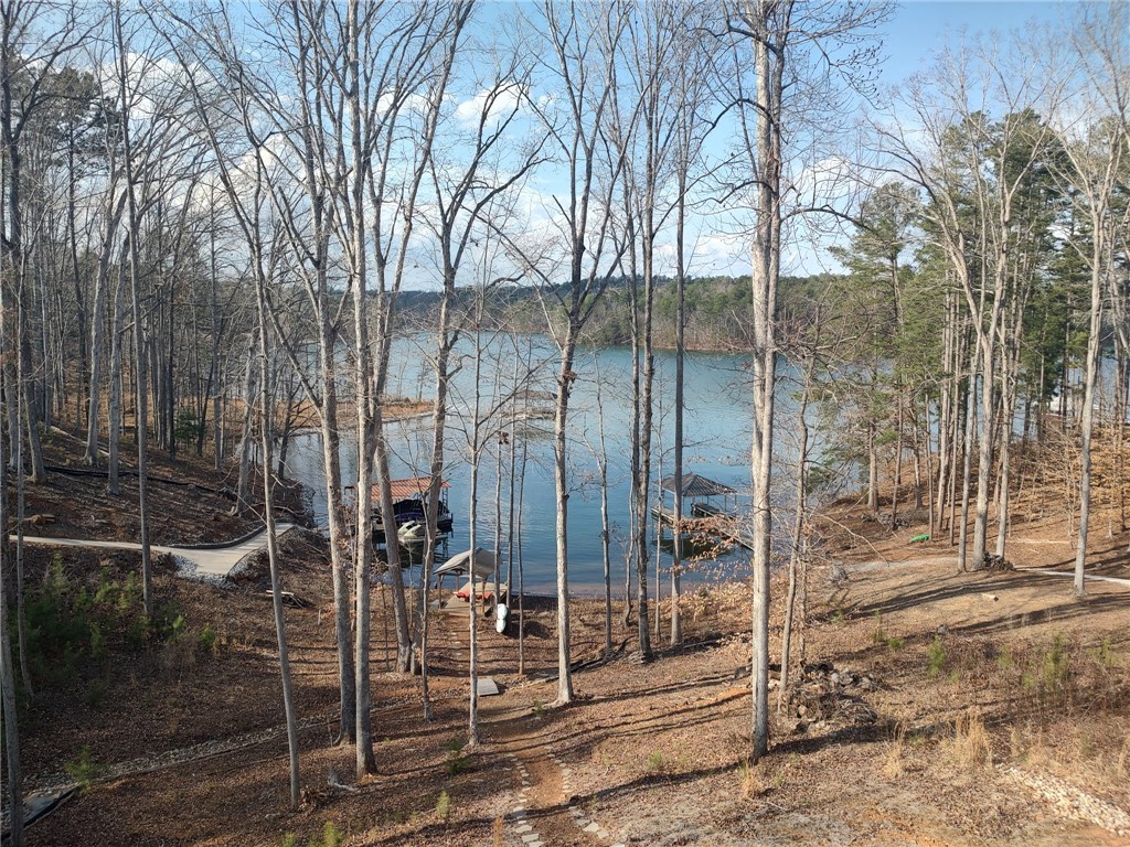 571 Mcalister Road, West Union, South Carolina image 29
