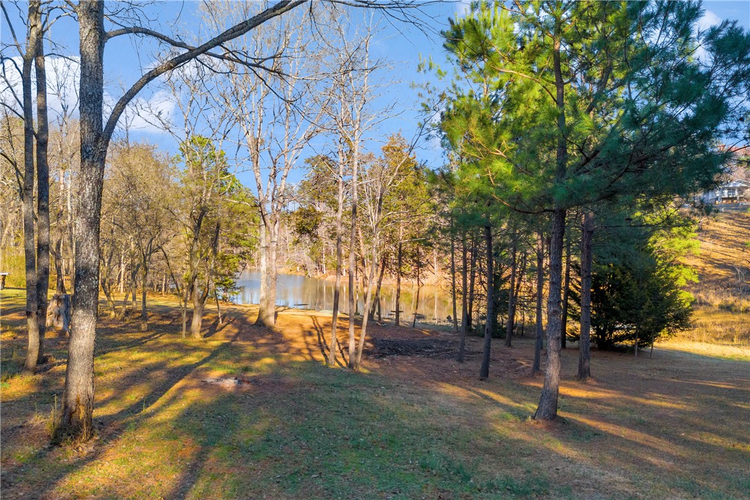 791 Rock Crusher Road, Walhalla, South Carolina image 3