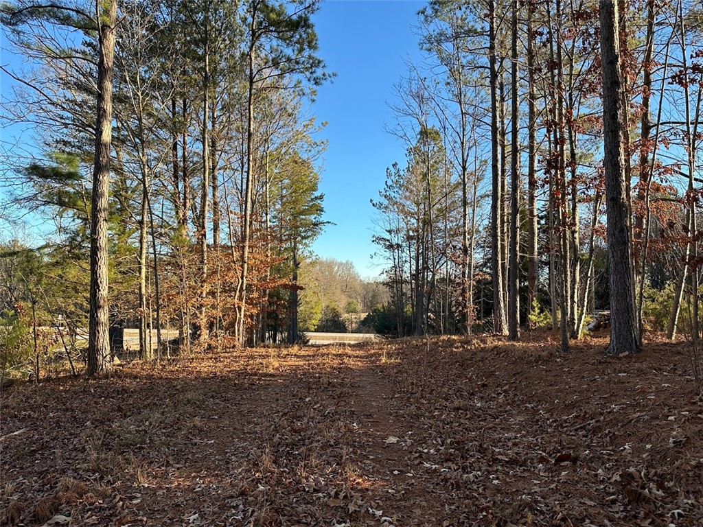 2539 Highway 28/blue Ridge Boulevard, Walhalla, South Carolina image 21