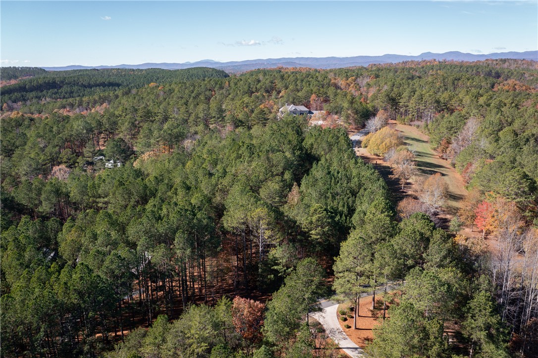 Lot 39 Golden Bear Drive, Sunset, South Carolina image 4