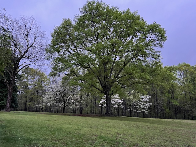261 N Mcallister Road, Liberty, South Carolina image 37