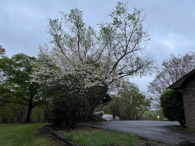 261 N Mcallister Road, Liberty, South Carolina image 36