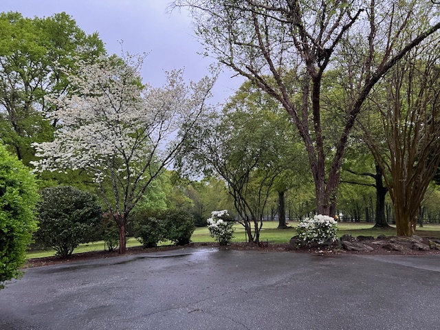 261 N Mcallister Road, Liberty, South Carolina image 34