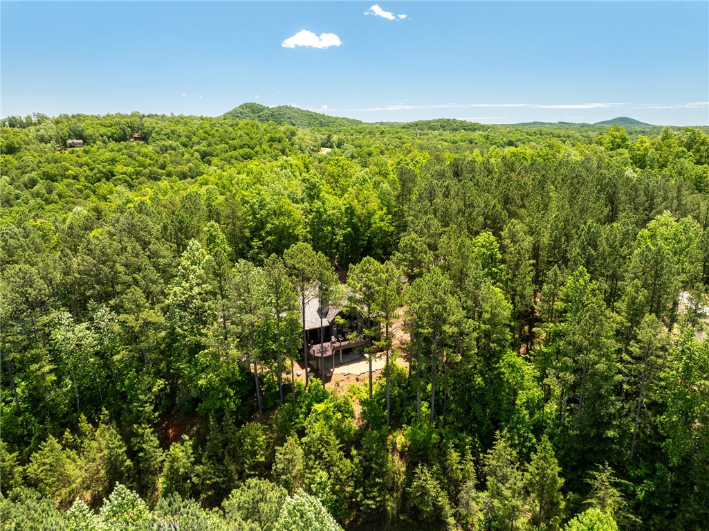 251 Settlement Boulevard, Sunset, South Carolina image 34