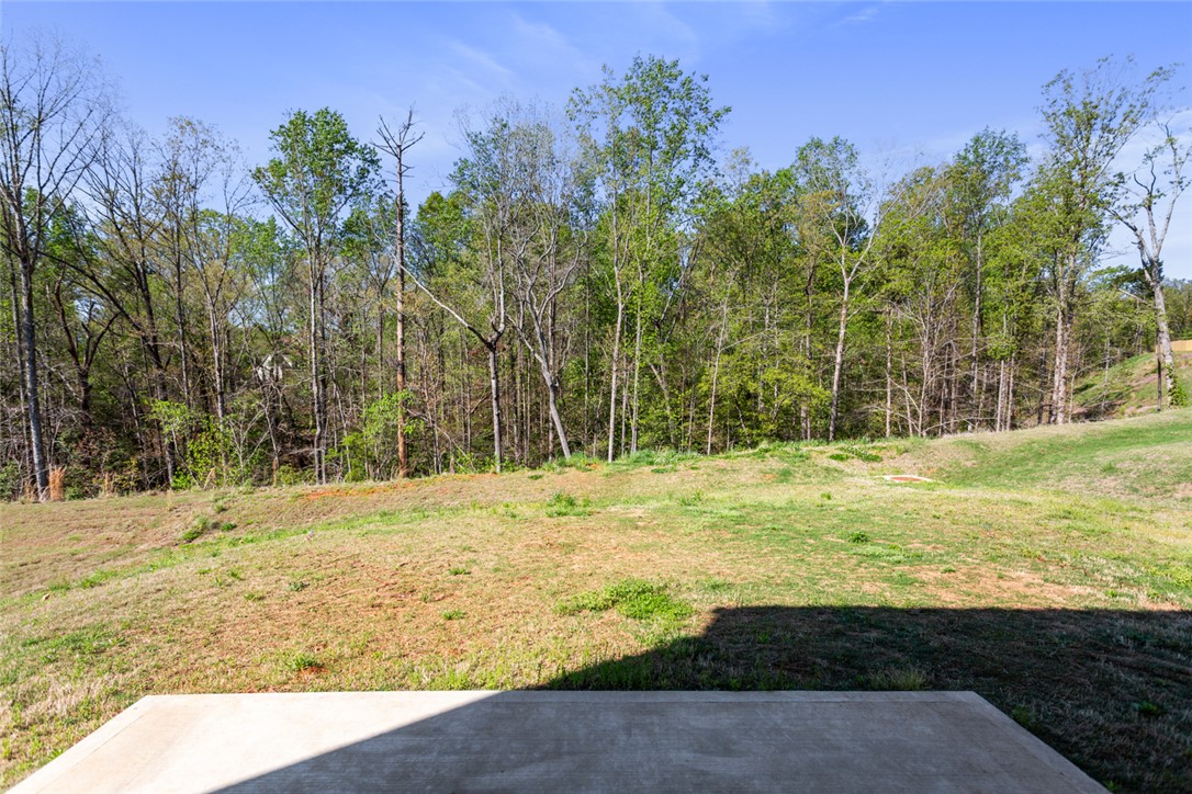 125 Wells Sation Road, Seneca, South Carolina image 16