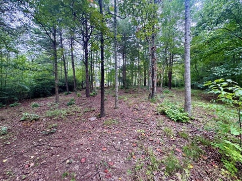 Vacant Land For Sale - 2 Darting Sparrow Way<br/> Marietta, SC 29661