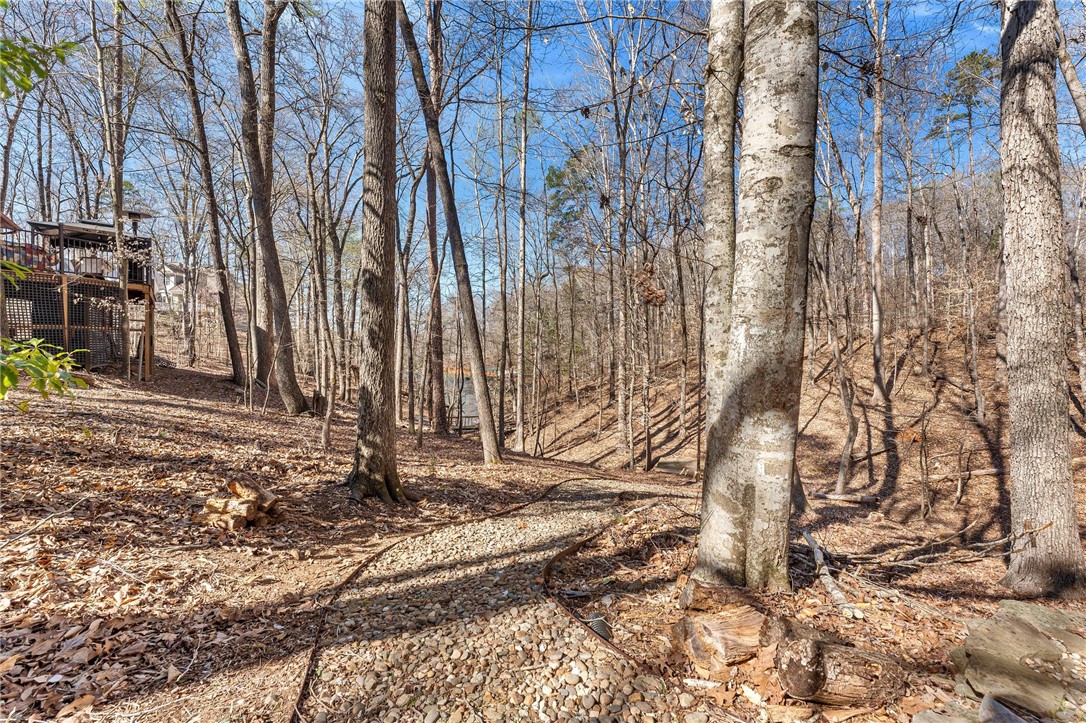 100 Shawnee Drive, Westminster, South Carolina image 28