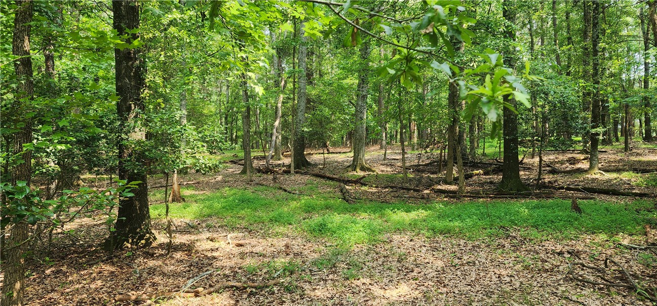 532 Herman Brooks Road, Belton, South Carolina image 40