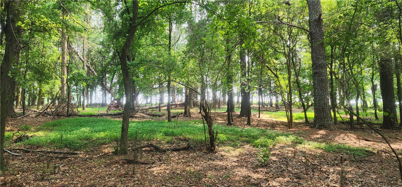 532 Herman Brooks Road, Belton, South Carolina image 39