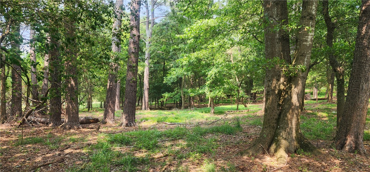532 Herman Brooks Road, Belton, South Carolina image 38