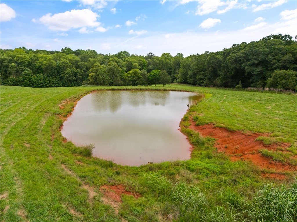 532 Herman Brooks Road, Belton, South Carolina image 28
