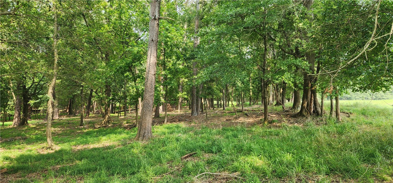 532 Herman Brooks Road, Belton, South Carolina image 37
