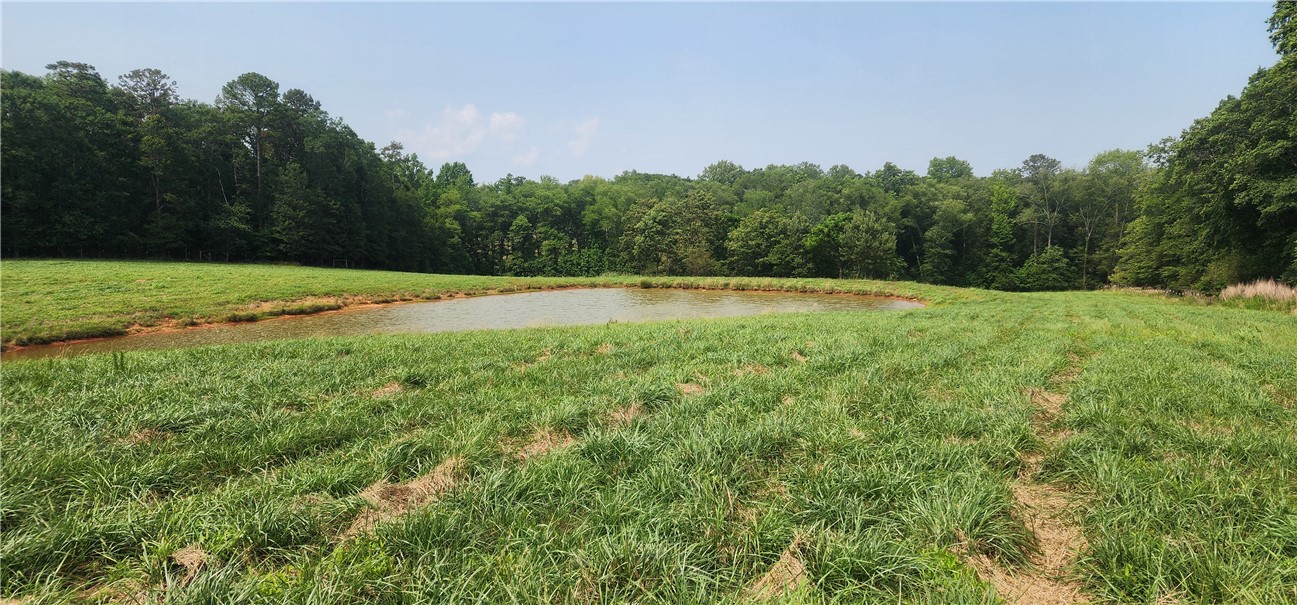 532 Herman Brooks Road, Belton, South Carolina image 44