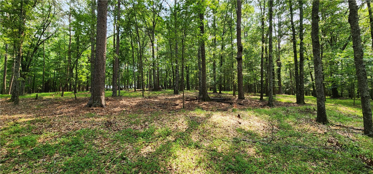 532 Herman Brooks Road, Belton, South Carolina image 43