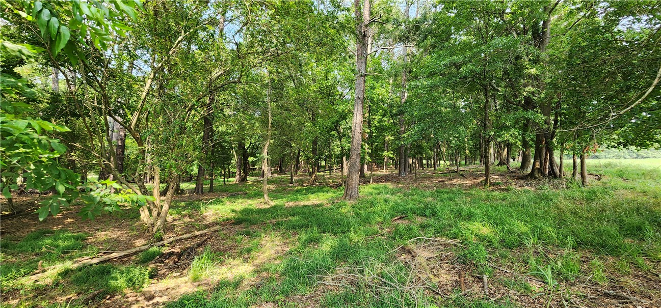 532 Herman Brooks Road, Belton, South Carolina image 36