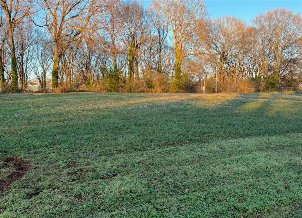 00 W Blue Ridge Drive, Greenville, South Carolina image 1