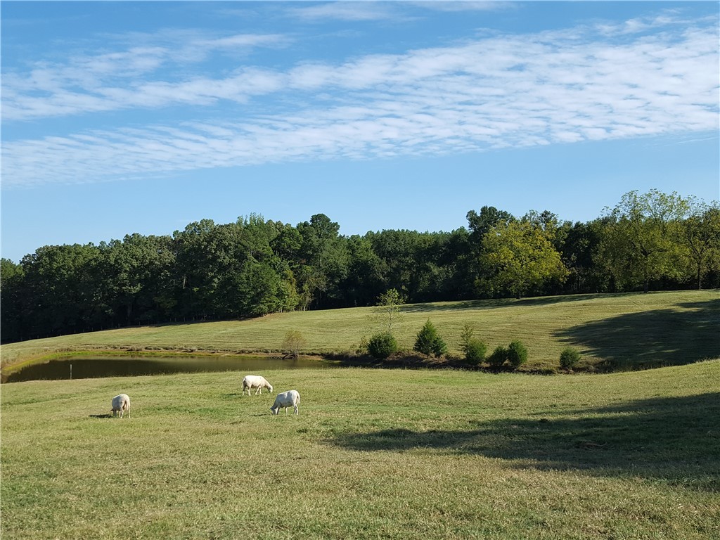 1108 Nations Road, Hodges, South Carolina image 3