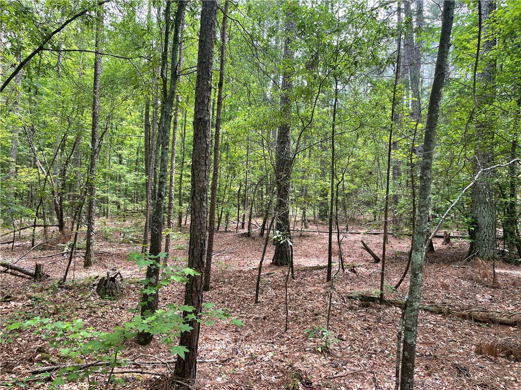 00 Clatworthy Road, Honea Path, South Carolina image 3