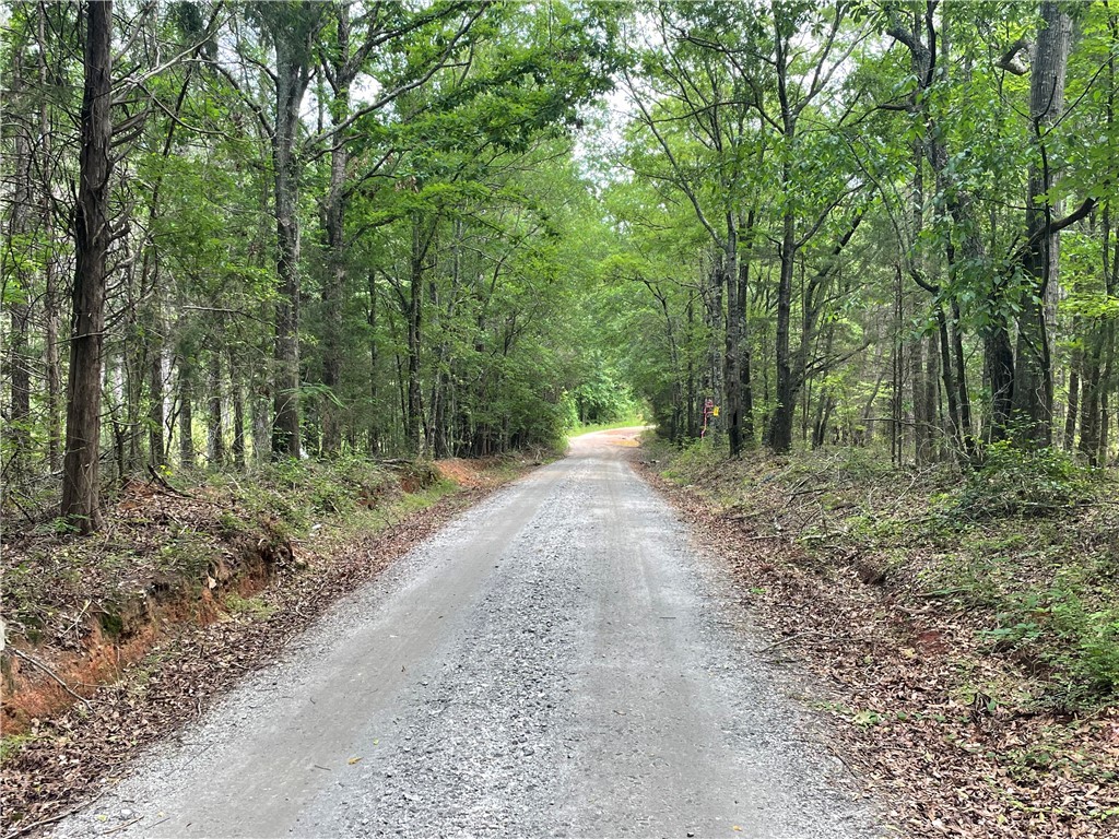 00 Clatworthy Road, Honea Path, South Carolina image 9