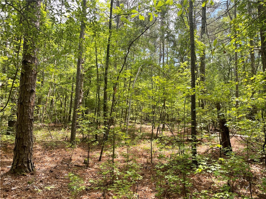 00 Clatworthy Road, Honea Path, South Carolina image 5