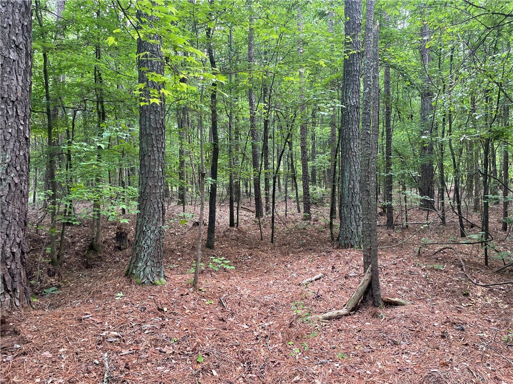 00 Clatworthy Road, Honea Path, South Carolina image 2