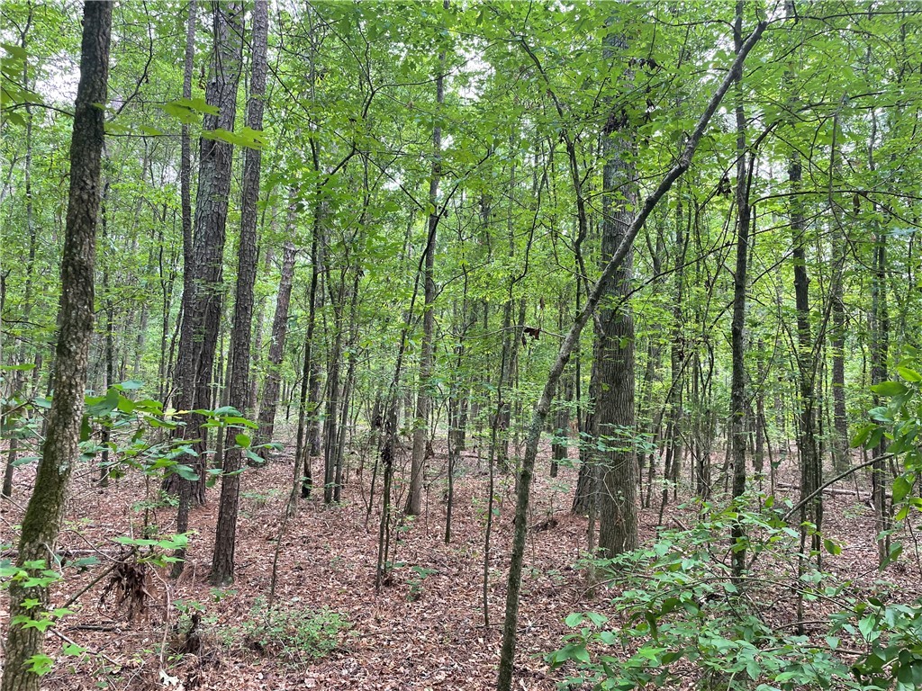 00 Clatworthy Road, Honea Path, South Carolina image 7