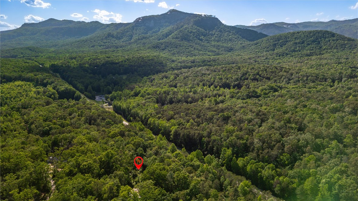 4277 Highway 11, Pickens, South Carolina image 6