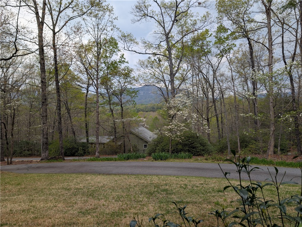116 Dorothy Lane, Pickens, South Carolina image 47