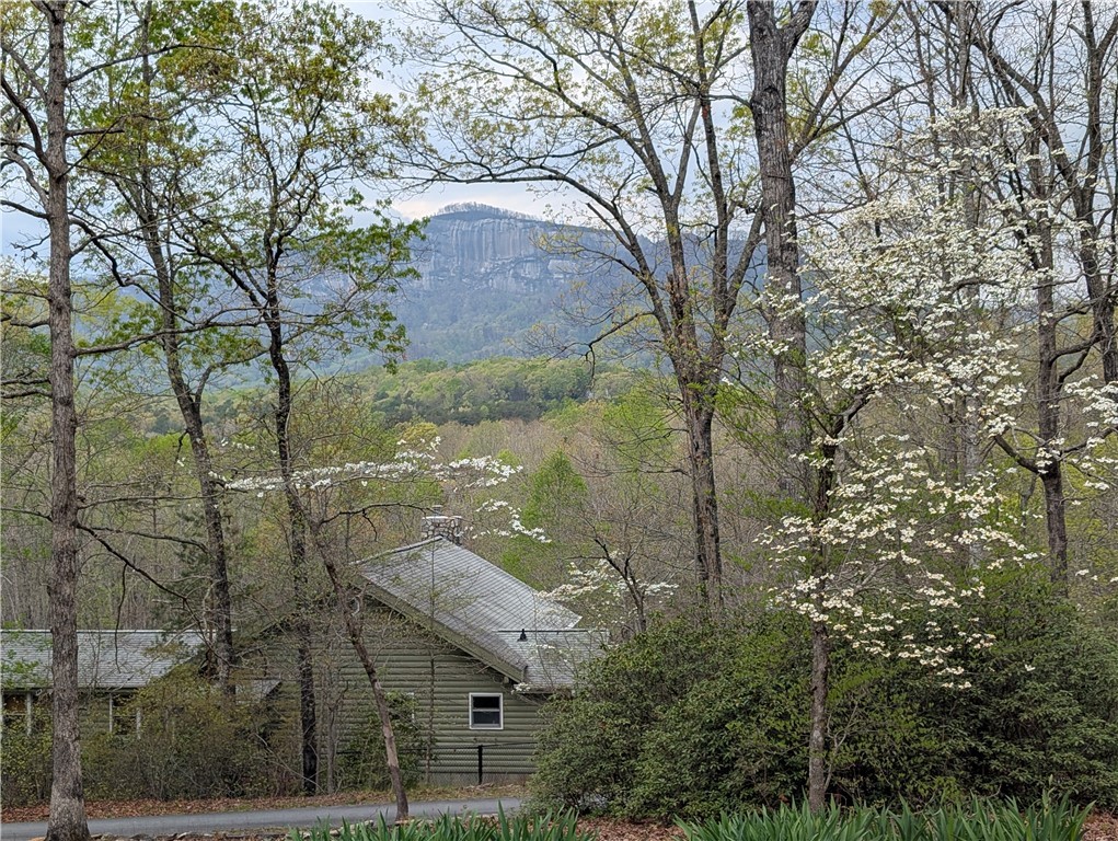 116 Dorothy Lane, Pickens, South Carolina image 48