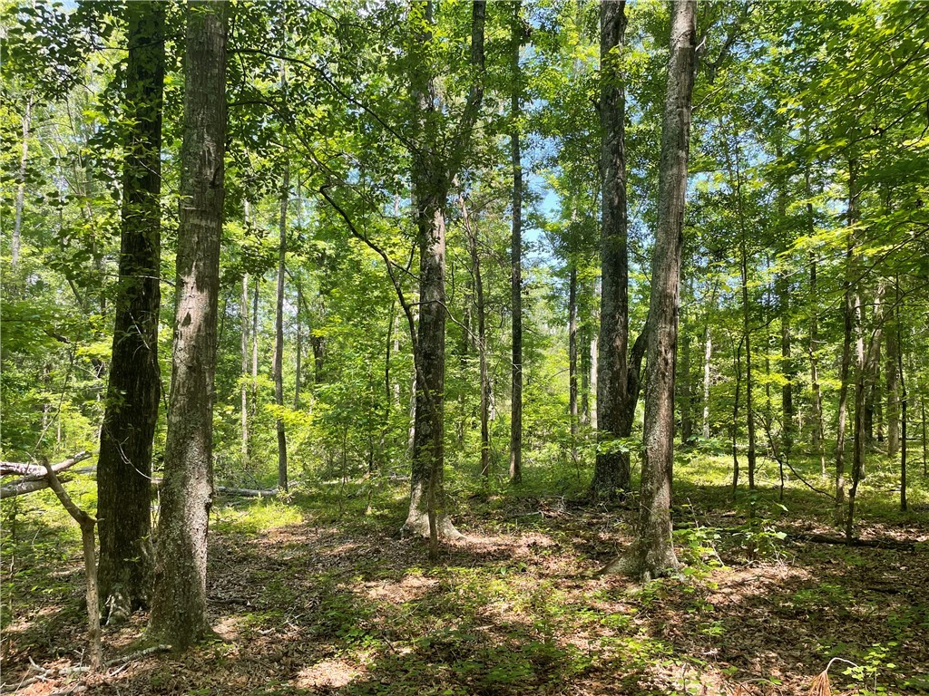 00 Clatworthy Road, Honea Path, South Carolina image 3