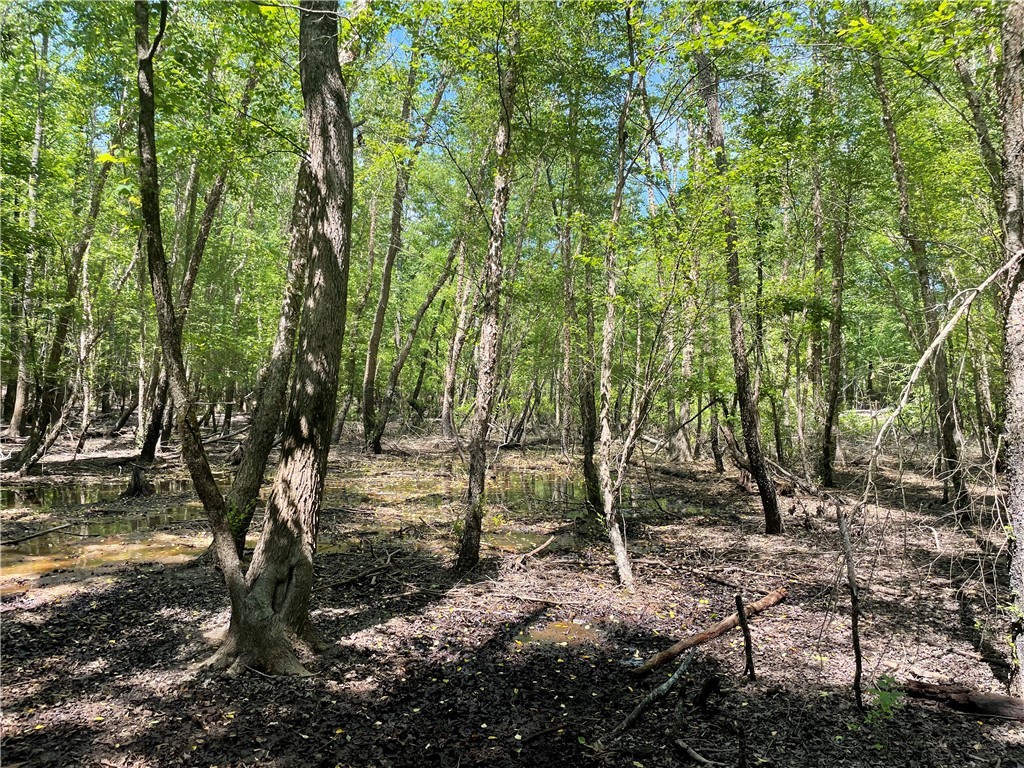 00 Clatworthy Road, Honea Path, South Carolina image 8