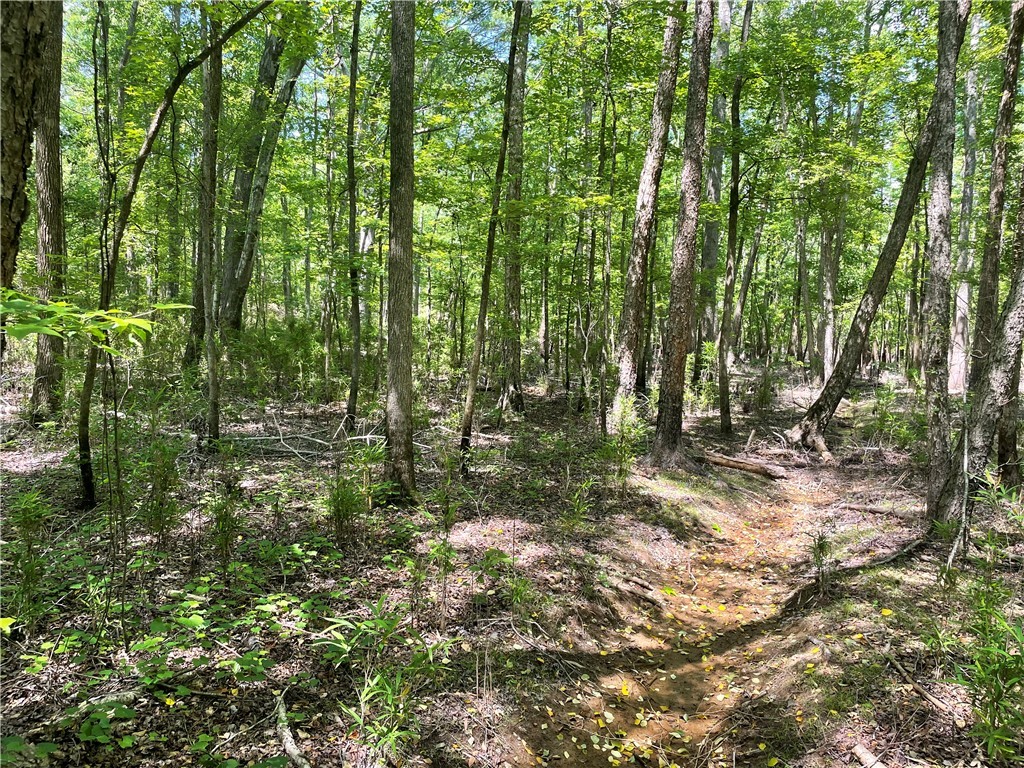 00 Clatworthy Road, Honea Path, South Carolina image 11