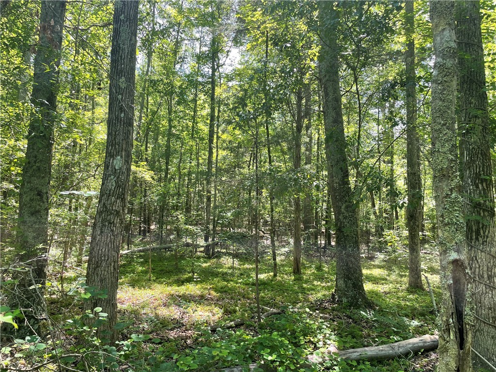 00 Clatworthy Road, Honea Path, South Carolina image 4