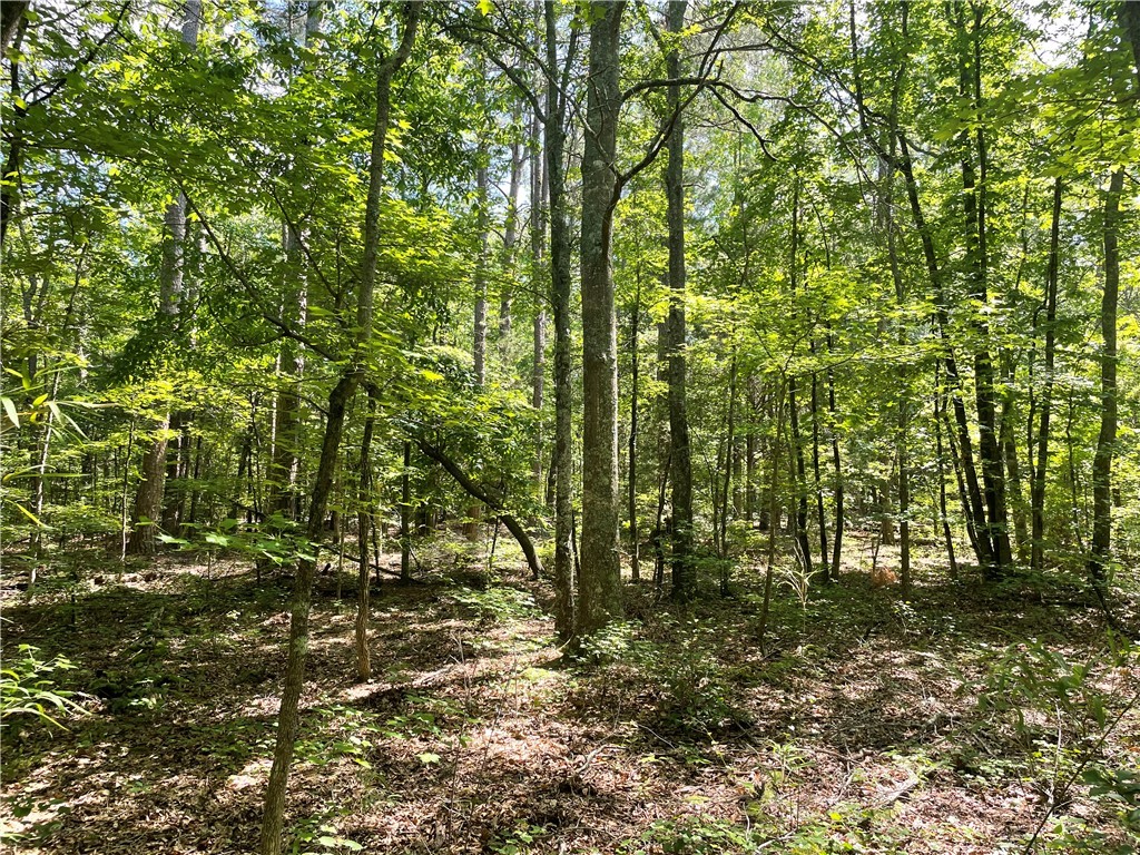 00 Clatworthy Road, Honea Path, South Carolina image 2