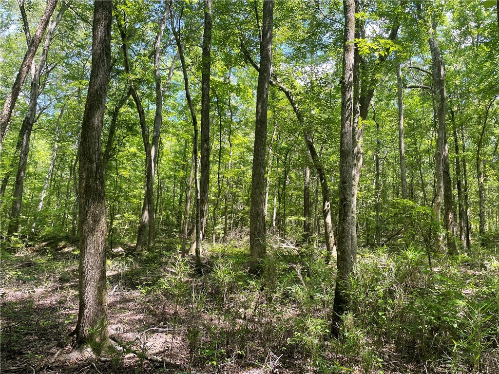 00 Clatworthy Road, Honea Path, South Carolina image 10