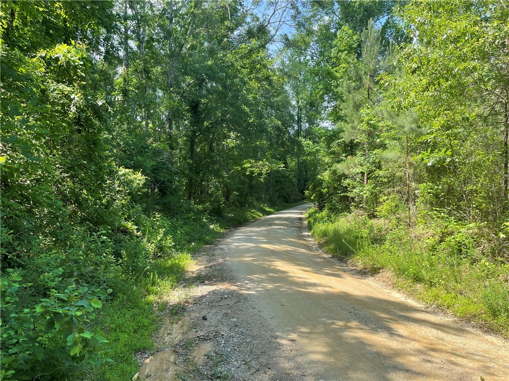 00 Clatworthy Road, Honea Path, South Carolina image 15