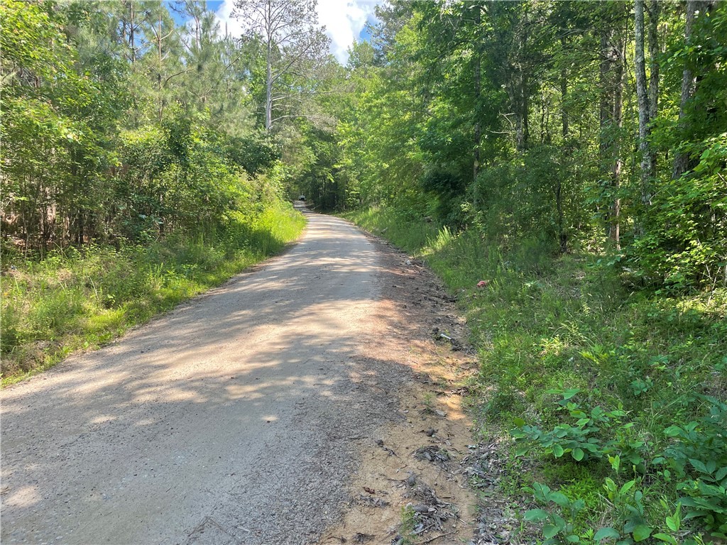 00 Clatworthy Road, Honea Path, South Carolina image 16